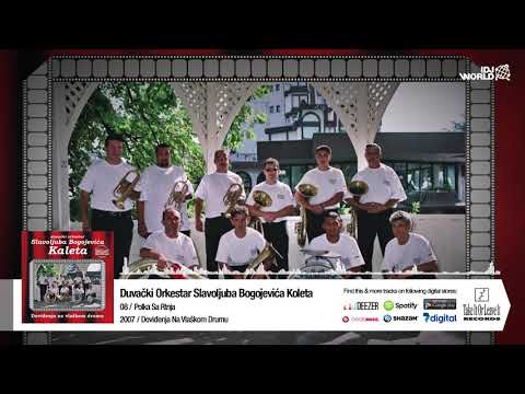 ORKESTAR SLAVOLJUBA BOGOJEVICA KALETA - POLKA S RTNJA