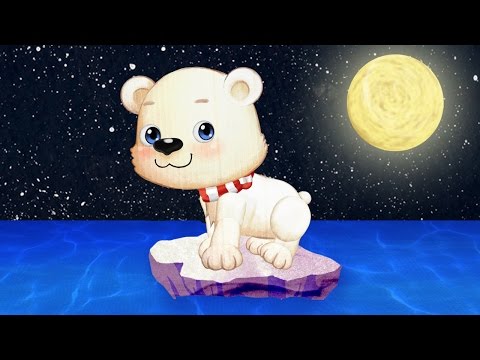 Nature Bert Earth Video