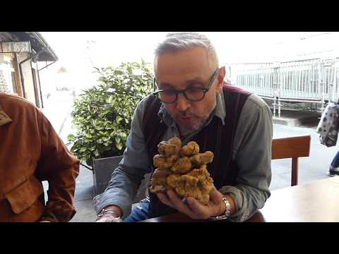 Vormit da helminths Influenza di alcool di helminths