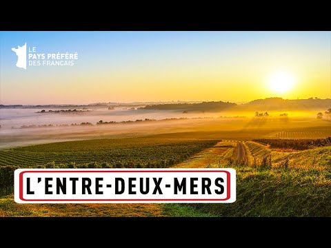 L'Entre-deux-Mers : une terre de tradition viticole - 1000 Pays en un - Documentaire Voyage - MG