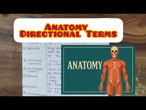 The Easiest Way to Learn Directional Terms Anatomy Basics.#anatomy