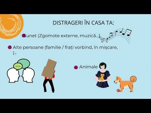 ORGANISAREA SĂLII DE CLASĂ ȘI A LOCULUI DE MUNCĂ