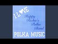 Night After Night Waltz - Happy Richie's Polka Band - Topic Night After Night Waltz