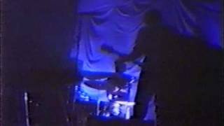 The Clean - At The Bottom Live at Sammys