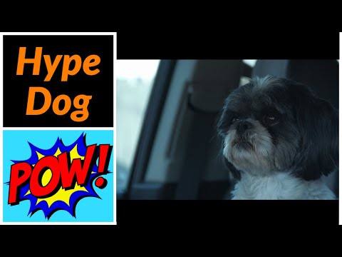 Signs Plus Prescott Valley Detailed Login Instructions Loginnote