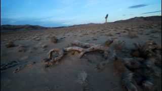 Joshua Tree 360, 3/14/2012, Death Valley
