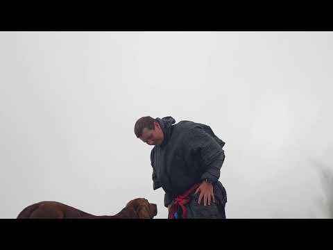 Hi gear Go Outdoors poncho review