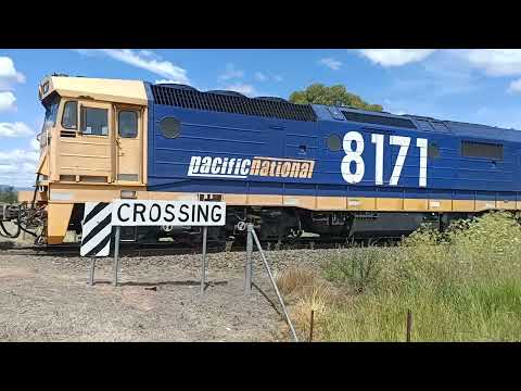 8251 8242 8148 8171 Pacific National grain train at Turrawan NSW