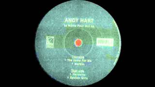 Andy Hart - Merkin |Heist Recordings|