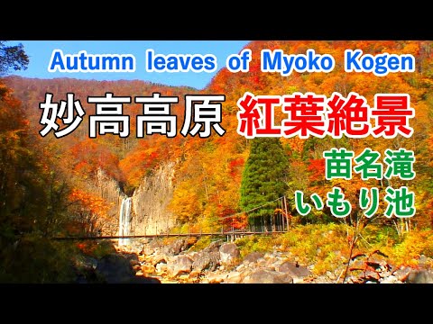 Hojas de otoño de Myoko Kogen, Prefectura de Niigata (Cataratas de Naena / Sotaki / Estanque Imori) / Hojas de otoño de Myoko Kogen (Japón) ] [ 4K ]