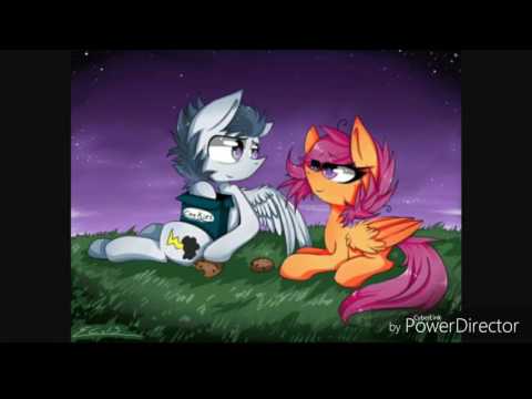 pmv(scootaloo x rumble)