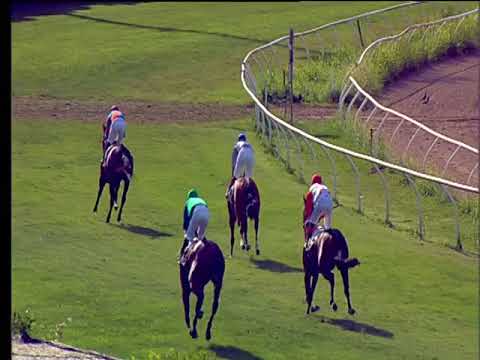 Galoppo 15/06/2018 - 2ª corsa