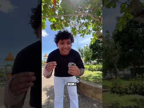 Purisima de la Concepción #colombia #turismo #cordoba #historia #cultura