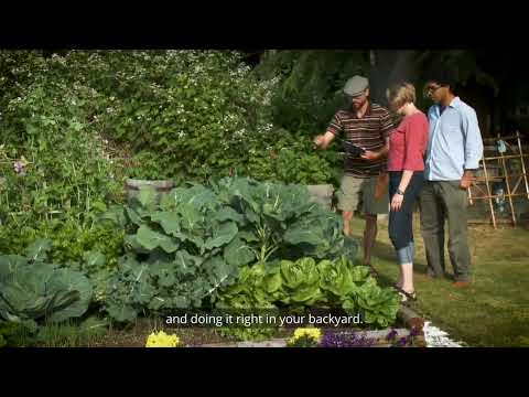 Growing a Greener World season 12 | preview