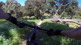 Fort Ord National Monument - Trail 42 - Trail 44 - Trail 41 (Goat Trail)