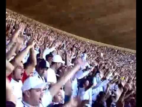 A maior do Mineirão galoucura é o terror.mp4