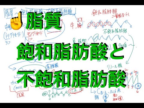 飽和脂肪酸 - 定義