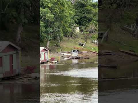 Deep in the Amazon: 4 Days on a River Boat to Canutama 🇧🇷 #Shorts #Amazon