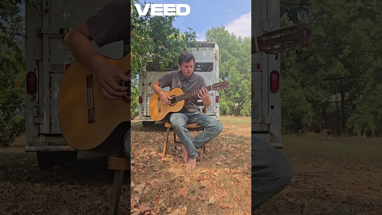 Promotional video thumbnail 3 for William Dodson Fingerstyle guitar