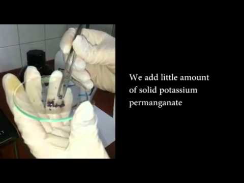 Underwater Explosion