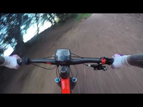 Cube stereo 160 action team e-bike.