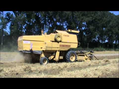 Loonw. Defraeye - Moen