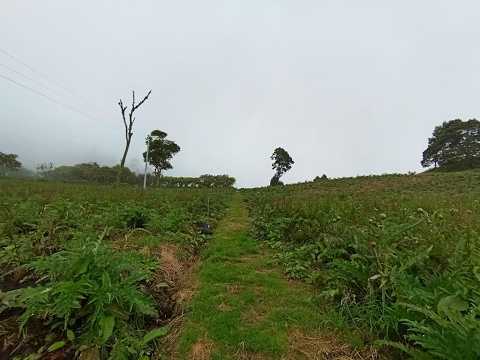 Finca en Granada, Cundinamarca: 36.1 hectáreas