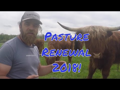 How We're improving Pastures 2018: ABC acres- episode 138