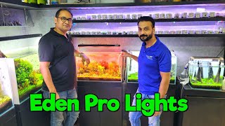 Discounts on Aquascape Lights at Aqua Nature Gallery I Arowana Spectroglyph