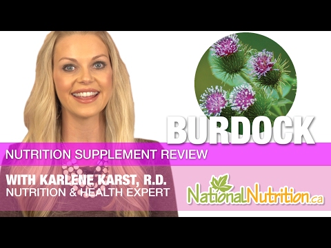 Burdock Root Supplement Varieties