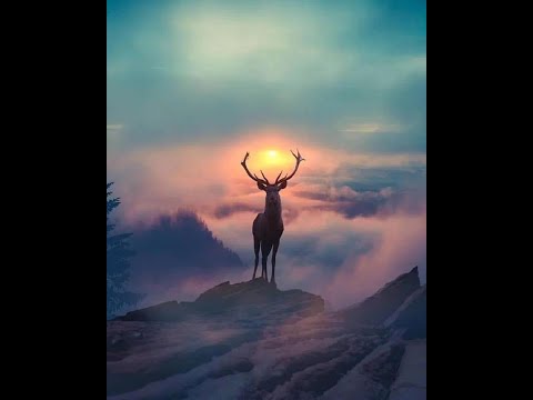 The Foundation of Happiness - Excerpt From "Love Letter to the Earth" By Thich Nhat Hanh