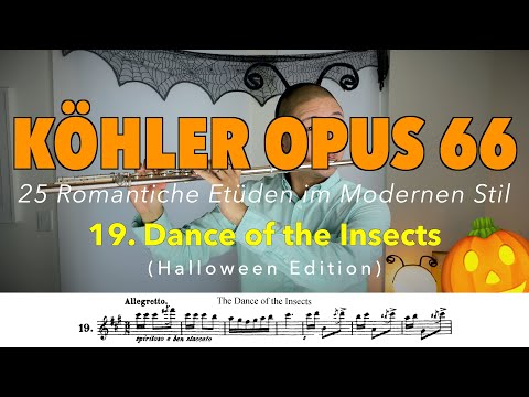 Dance of the Insects (Muckentanz; Danse des mouches) | Köhler Opus 66 Flute Etude #19