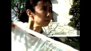 PlayStation 2 - Virtua Fighter 4: Laundry Fighter - Japan TV Commercial (2003)