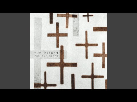 Friends and Foe - The Frames