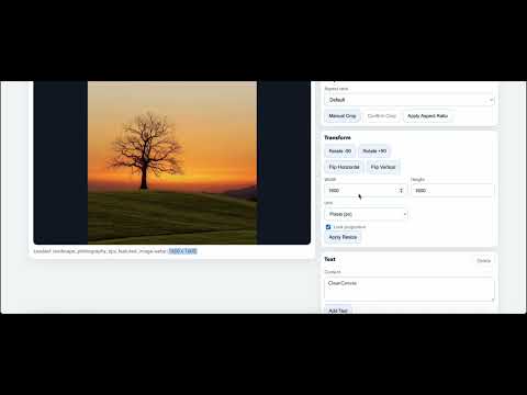 Item video thumbnail