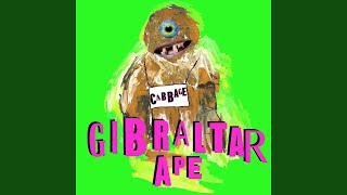 Gibraltar Ape