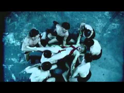 DJ SVN - All That She Wants is (Alejandro) (Lady Gaga vs. Ace of Base) Mash Up