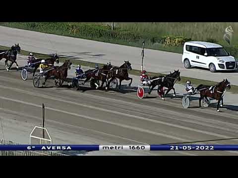 Aversa trotto 21 Maggio 2022 - 6° Corsa