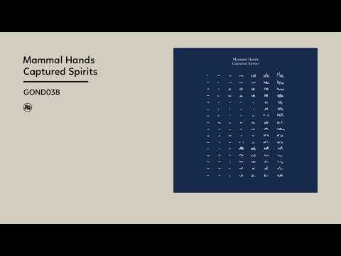Mammal Hands - Captured Spirits (Official Album Video)