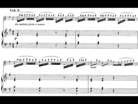 W.A.O. Popp Fantasie Caprice sur Handel "Rinaldo" for Flute and Piano SCORE