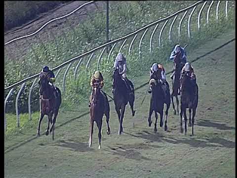Galoppo 24/07/2019 - 6ª corsa