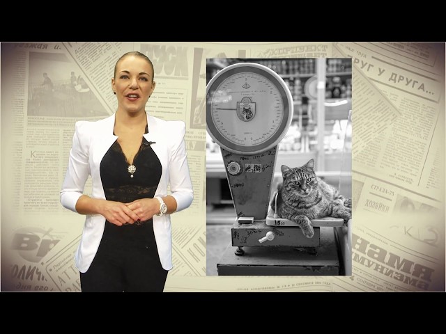 Ну и денек, 23 октября