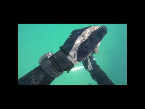 eliran amar spearfishing israel
