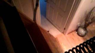 Whats that? In the attic?