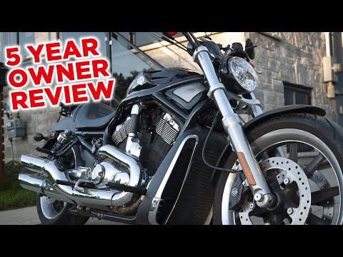 Harley V-Rod Pros and Cons You Need to Know!