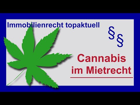 Cannabis in der Mietwohnung - Rechte und Pflichten des Mieters | Tutorial