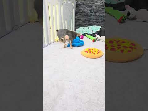 Video 3