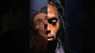 Cover art for Gangsta's Paradise But Every Other Beat Is Amish Paradise