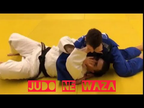 Judo ne waza