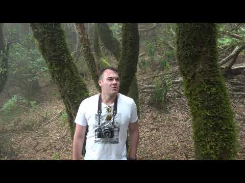 Отзыв об экскурсии с Константином Гавришенко от 10.09.2019